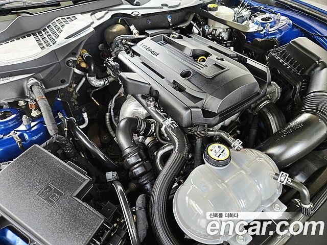 ford | ford mustang | mustang