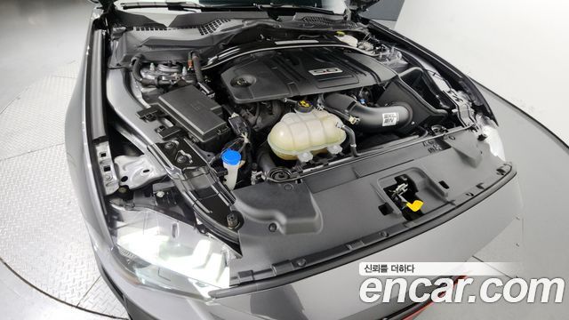 ford | ford mustang | mustang