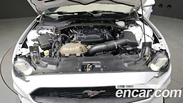 ford | ford mustang | mustang