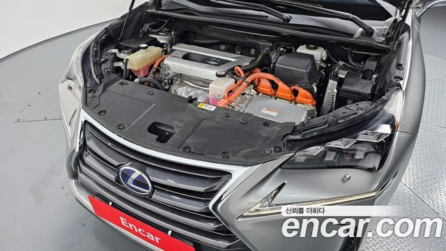 Lexus | Lexus NX300h