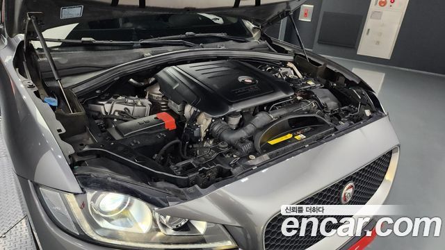 Jaguar | Jaguar F-PACE