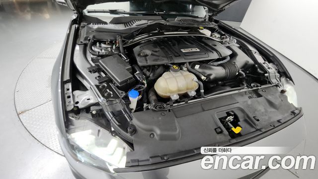 ford | ford mustang | mustang