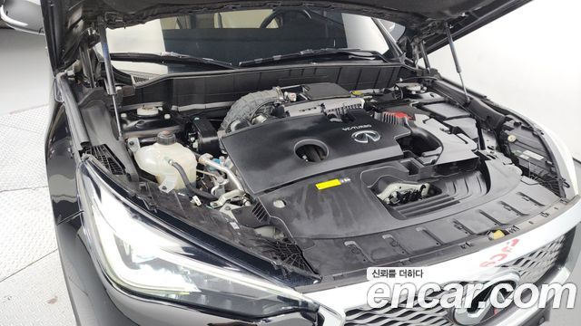 infinity | infinity QX50 (P71A)