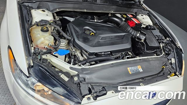 ford | ford Fusion | Fusion