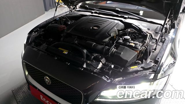 Jaguar | Jaguar XF (X260)