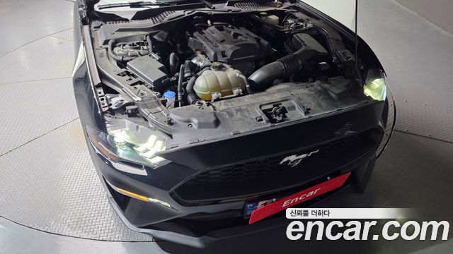 ford | ford mustang | mustang