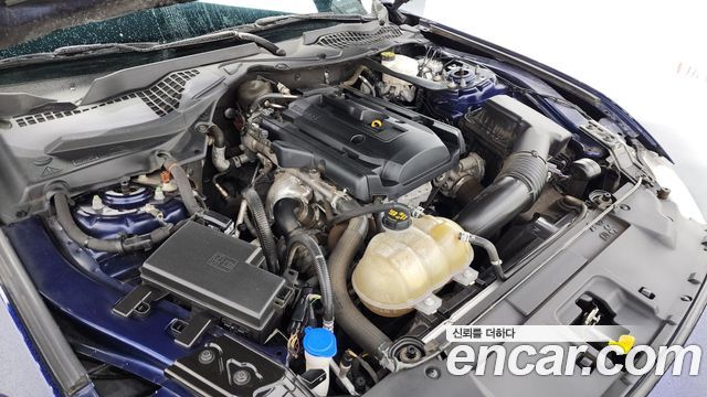 ford | ford mustang | mustang