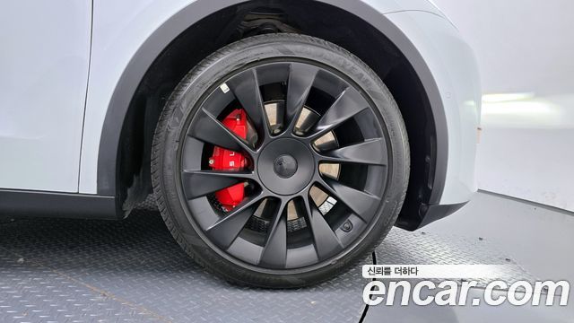 tesla | tesla Model Y | Model Y