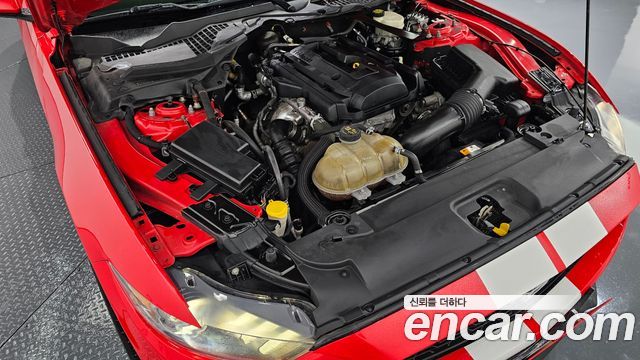 ford | ford mustang | mustang