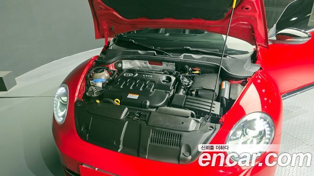 Volkswagen | Volkswagen The Beetle | The Beetle