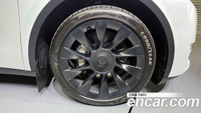 tesla | tesla Model Y | Model Y