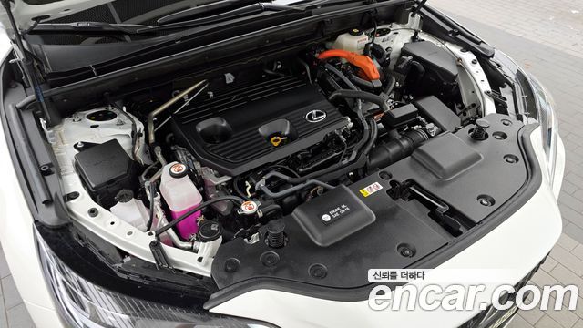 Lexus | Lexus NX350h 2nd generation | NX350h 2nd generation