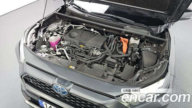 Toyota | Toyota RAV4 \uc0\u8203 \u8203 5th Generation | RAV4 \uc0\u8203 \u8203 5th Generation