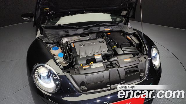 Volkswagen | Volkswagen The Beetle | The Beetle