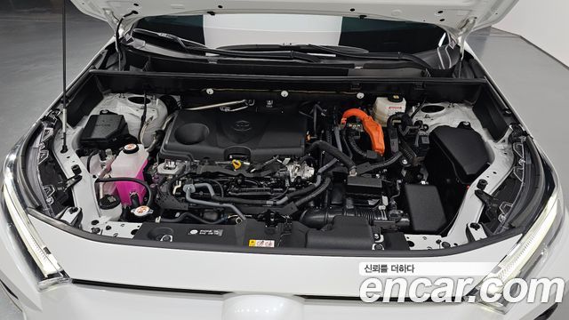 Toyota | Toyota RAV4 \uc0\u8203 \u8203 5th Generation | RAV4 \uc0\u8203 \u8203 5th Generation