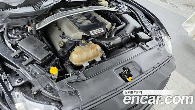 ford | ford mustang | mustang