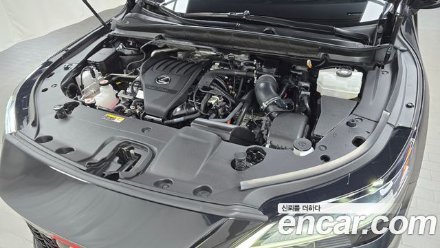 Lexus | Lexus RX500h 5th Generation | RX500h 5th Generation