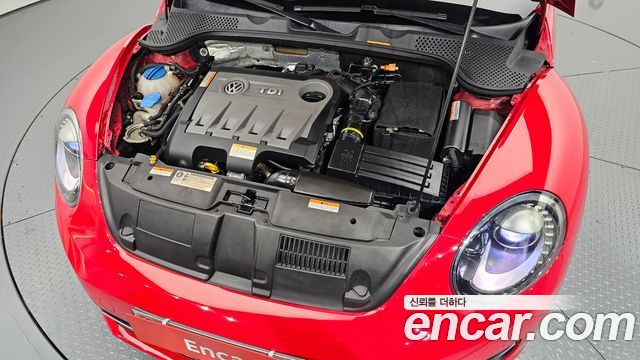 Volkswagen | Volkswagen The Beetle | The Beetle