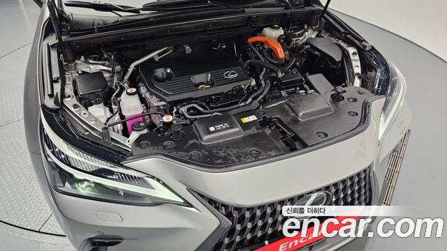 Lexus | Lexus NX350h 2nd generation | NX350h 2nd generation