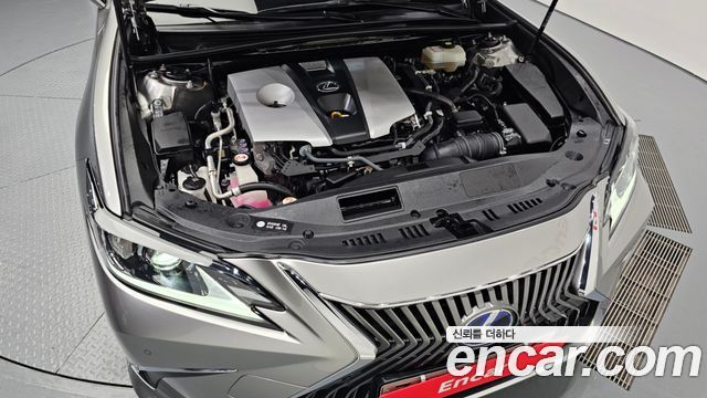 Lexus | Lexus ES300h 7th generation | ES300h 7th generation