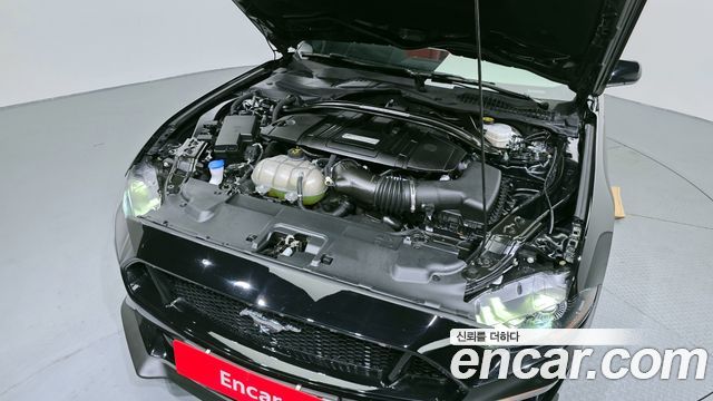 ford | ford mustang | mustang