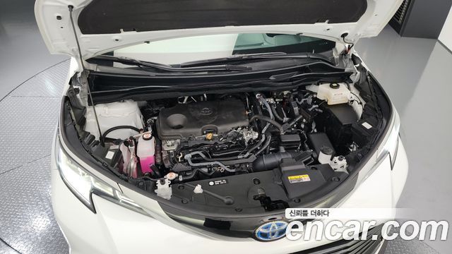 Toyota | Toyota Sienna 4th Generation | Sienna 4th Generation