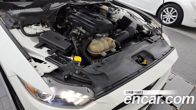 ford | ford mustang | mustang