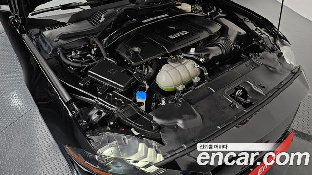 ford | ford mustang | mustang