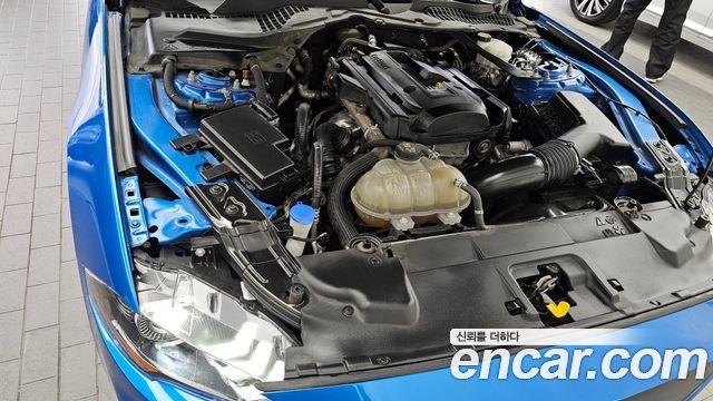 ford | ford mustang | mustang