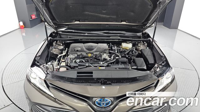 Toyota | Toyota Camry (XV70) | Camry (XV70)