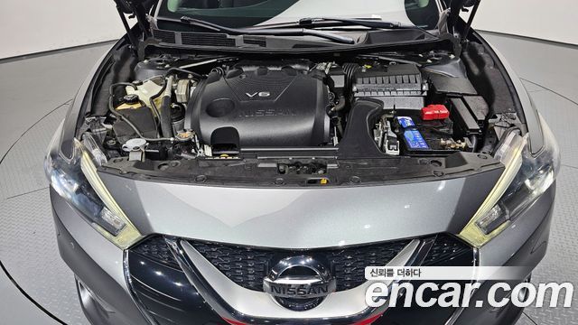 nissan | nissan Maxima (A36) | Maxima (A36)