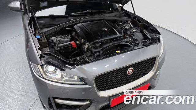 Jaguar | Jaguar F-PACE