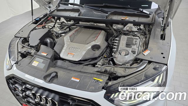 Audi | Audi SQ5 (FY)