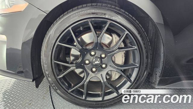 ford | ford mustang | mustang