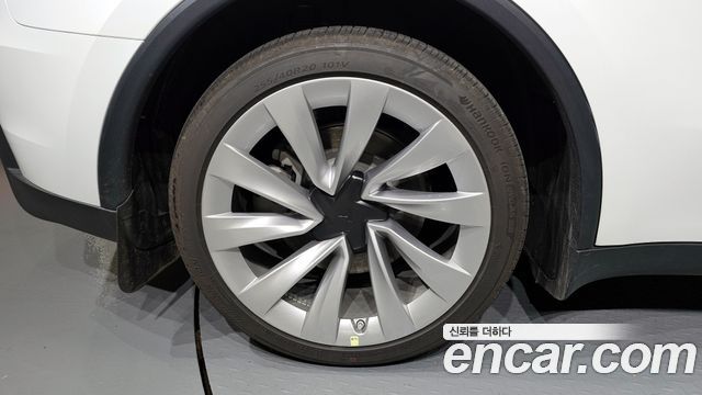 tesla | tesla Model Y | Model Y