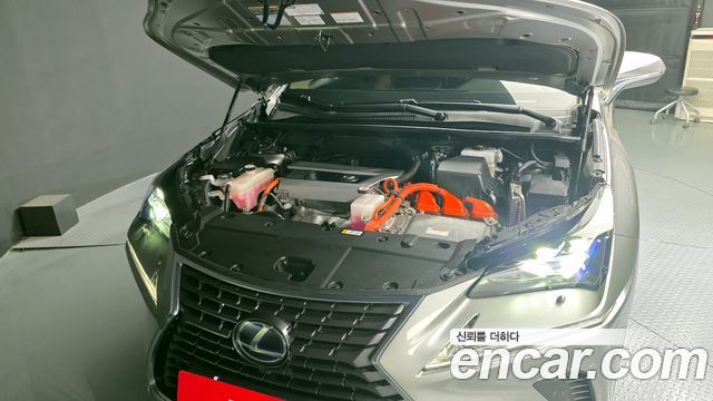 Lexus | Lexus NX300h