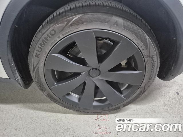 tesla | tesla Model Y | Model Y