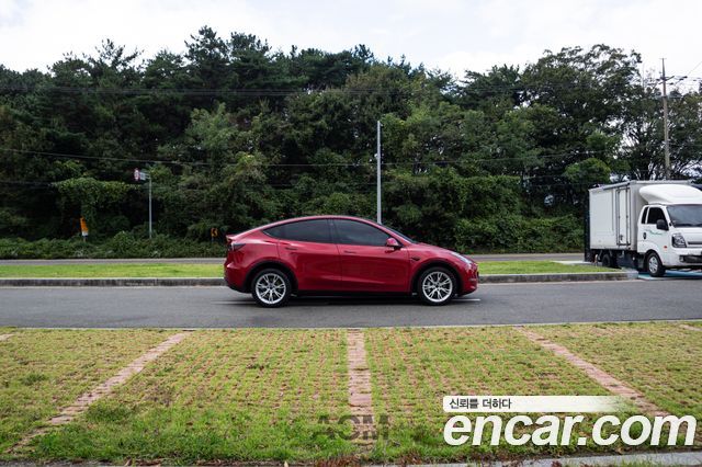 tesla | tesla Model Y | Model Y
